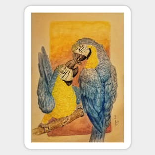 Yellow and breast macaw Sticker